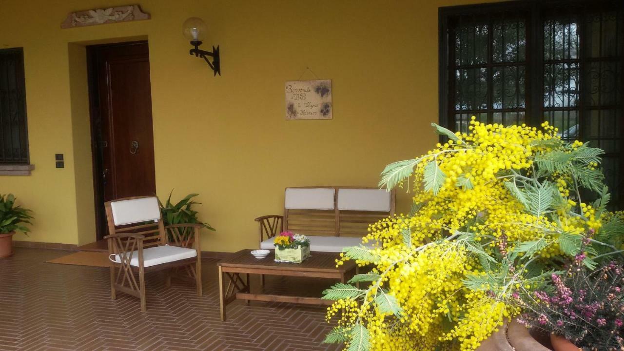 B&B La Vigna Di Federico Rubano Kültér fotó