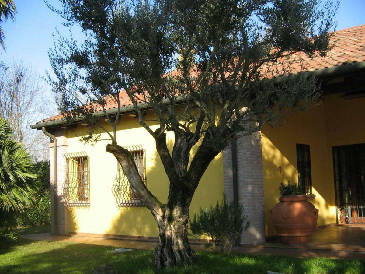 B&B La Vigna Di Federico Rubano Kültér fotó