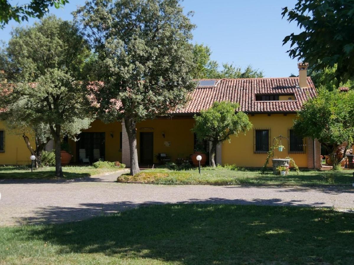 B&B La Vigna Di Federico Rubano Szoba fotó